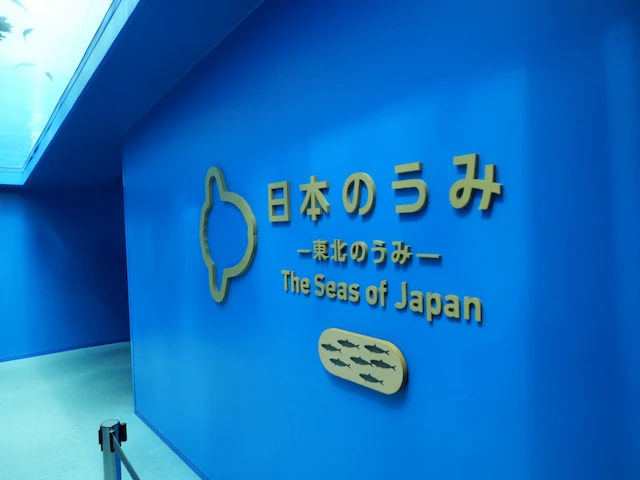 うみの杜水族館の日本のうみコーナー